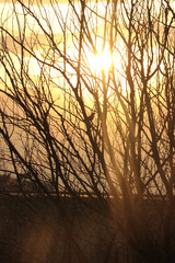 Atardecer en el campo