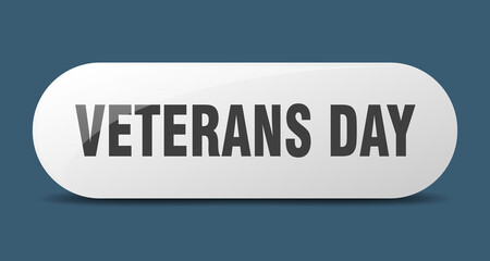 veterans day button. sticker. banner. rounded glass sign