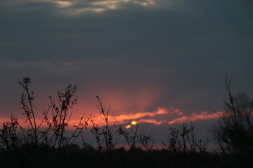 Atardecer