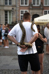 Gdansk, North Poland - August 15, 2020: A man carrying a reptile snake on his neck for taking picture in the city center after masks were not mandatory to wear outdoors during covid time