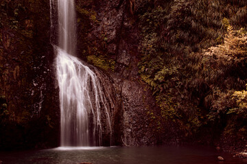 Fototapeta na wymiar Kite Kite Falls, Neuseeland, Piha
