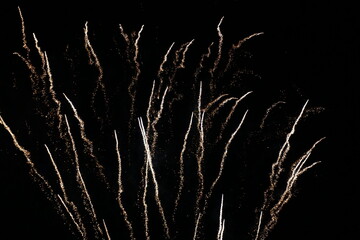 Fireworks in the night sky