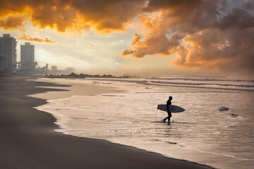 Coronado Surf - obrazy, fototapety, plakaty