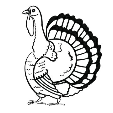 Coloring book for children: turkey.