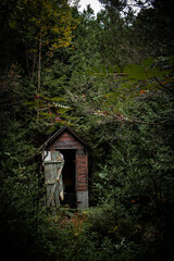 Fototapeta na wymiar abandoned hut in the woods