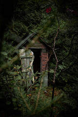abandoned hut in the woods