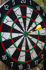 Darts in bull's eye. Close up view of one yellow darts arrows in the target center. Success hitting target aim goal achievement concept. Vertical view