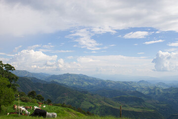 Fototapeta premium Nubes