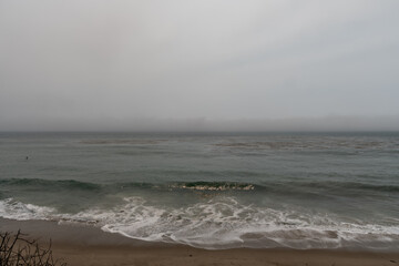 Red seaweed in the ocean along the Ventura county coastline, Southern California