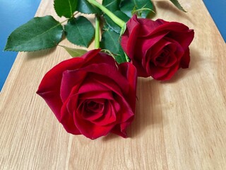 two red roses on a wooden background
