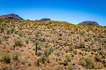 Fototapeta na wymiar Apache Trail Scenic Drive View
