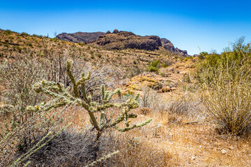 Apache Trail Scenic Drive View