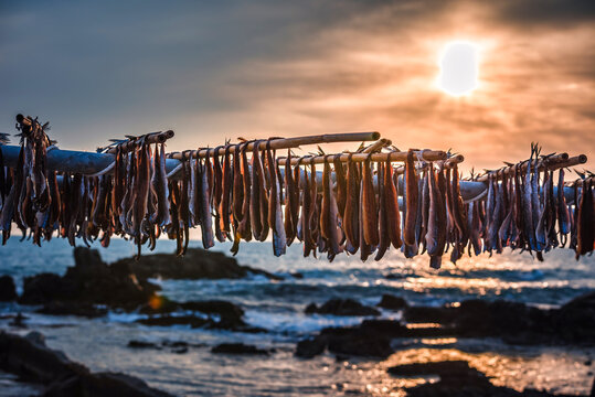 Gwamegi (dried saury) which is a specialty of Pohang, South Korea,(Guamegi)	
