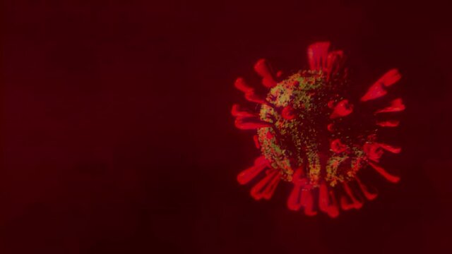 COVID 19 / CORONA VIRUS / 3D