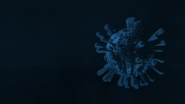 COVID 19 / CORONA VIRUS / 3D