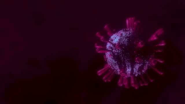 COVID 19 / CORONA VIRUS / 3D