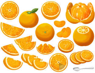 色々なオレンジ