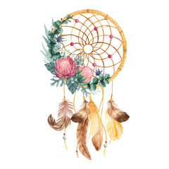 Watercolor dreamcatcher with Protea flowers
 - obrazy, fototapety, plakaty