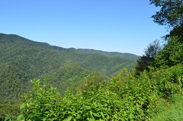 Naklejka premium Montana's