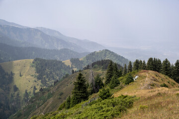 Fototapeta premium mountain landscape with fog