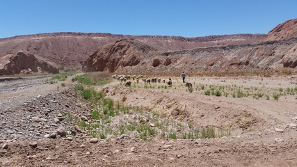 landscape in the desert atacama chile 