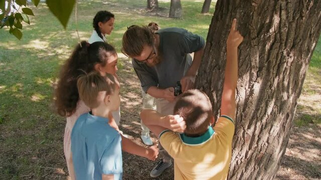 Handheld tracking shot of male teacher with beard and glasses holding magnifying glass and looking closely at tree bark in park while teaching group of kids about nature