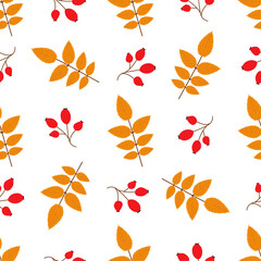 Fototapeta na wymiar Rose hip. Autumn seamless patterns. 