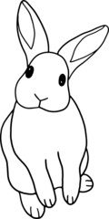 little bunny with curious face line draw vector