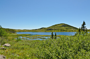 Lake. Newfoundland