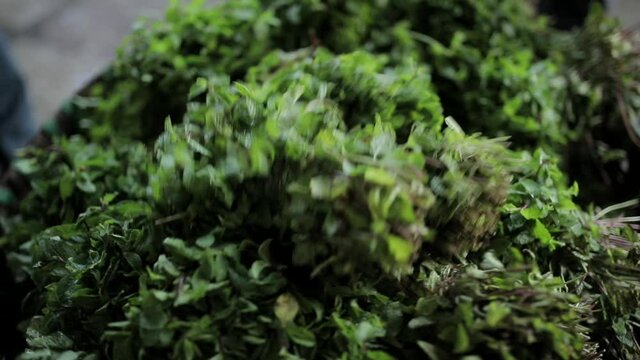 resh mint leaves to sell in market