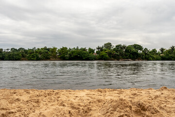 Vaupes river and jungle tree
