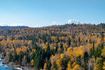 Beautiful autumnal landscape with fall colors