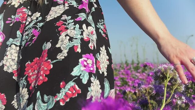 Romantic young woman in dress walking on the flower field and touching the flowers with her fingers