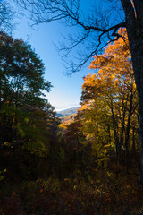 Autumn in the Great Smoky Mountains National Park
