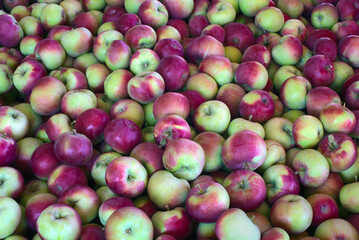 many apples fresh fruits at the market