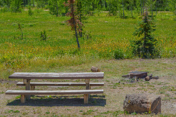 Fototapeta premium Campsite with a picnic table and fire pit in Freeman Reservoir Campground. In the Routt National Forest of the Rocky Mountains in Colorado.