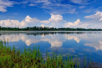 Fototapeta na wymiar Awesome reserved lake in the Pskov region. Russia