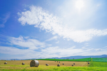 Naklejka premium 牧草ロールと北海道の大地