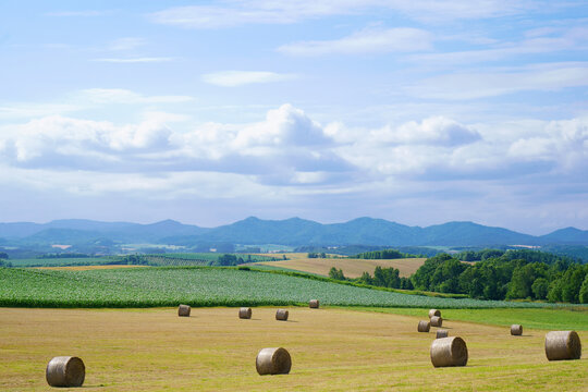 30 Best 北海道の景色images Stock Photos Vectors Adobe Stock
