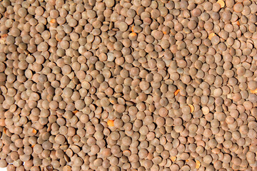 Lentils texture background . bean. soy