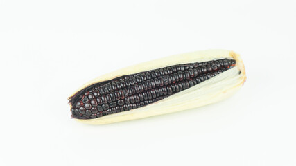 Organic Purple and black fresh corn on white background