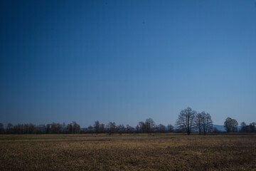 Panorama of Ljubljana marshes or Barje close to Barjanska Okna or windows river spring.