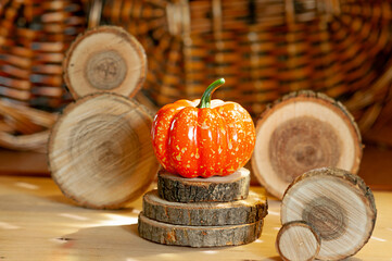 orange beautiful pumpkin on wooden circle podium in bright hard light, pieces of natural cut wood...