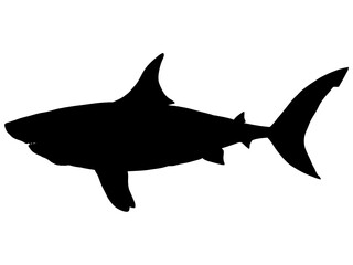 メガロドン_シルエット