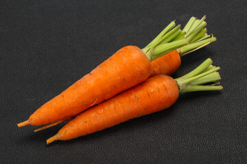 Three Young fresh ripe carrot