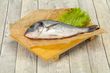 Raw Dorada fish  for cooking