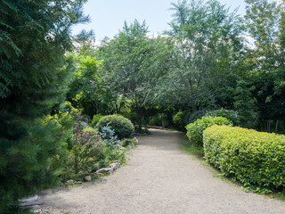 The path in the garden park. Landscaping. Summer sunny day
