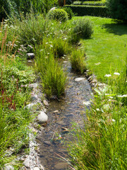 Obraz premium Stream in the plant park Landscaping. Summer sunny day