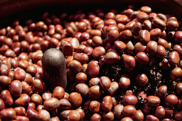 Roasted chestnuts were roasting in the machine with black gravel or coffee bean before packing at a street stall in China town. Chestnut has hight vitamin and healthy food. Closed up food production.