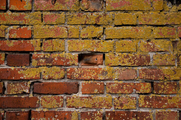 Macro texture of a beautiful red brickwork.